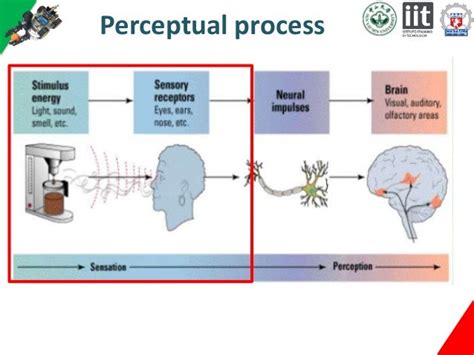 Tactile perception