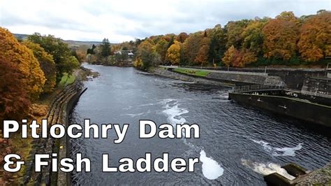 Pitlochry Dam Power Station Fish Salmon Ladder Visitor Centre Tour