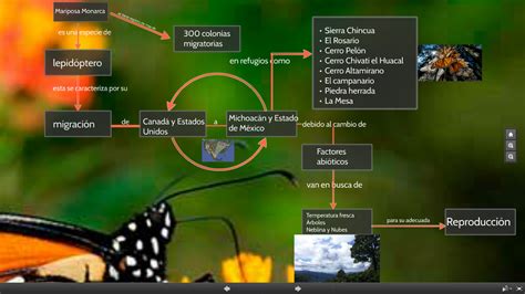 Biolog A Iv Grupo Practica Iii Mapa Mariposa Monarca