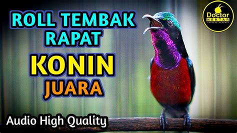 KONIN JUARA GACOR FULL ISIAN ROLL TEMBAK RAPAT COCOK UNTUK KONIN BAHAN