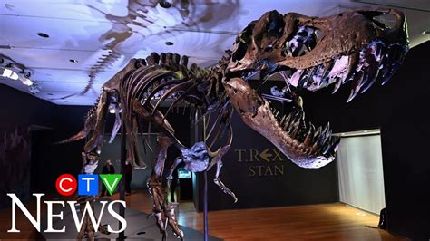 T Rex Skeleton Could Fetch Record Price At New York Auction Youtube