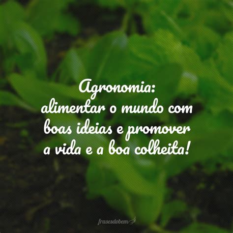 Frases De Agronomia Que Mostram A Import Ncia Dessa Profiss O