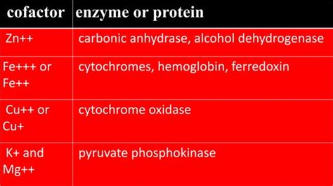 Difference Between Coenzyme Vs Cofactor Ppt