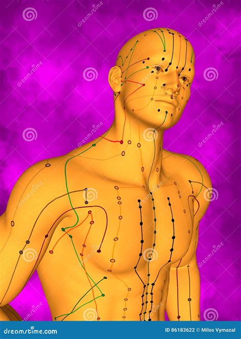 Acupuncture Model M Pose Fbhm 405 8 3d Model Stock Illustration