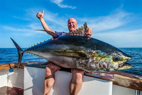 Topwater Fishing For Tuna The Fishing Website