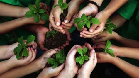 En el Día de la Tierra piden reconocer el derecho a vivir un ambiente