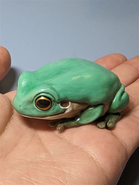 Realistic White's Tree Frog Sculpture by cozytendie on DeviantArt