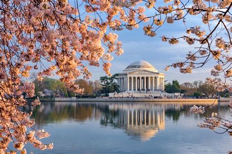 How to Experience Cherry Blossom Season in Washington DC - 2023 Travel ...