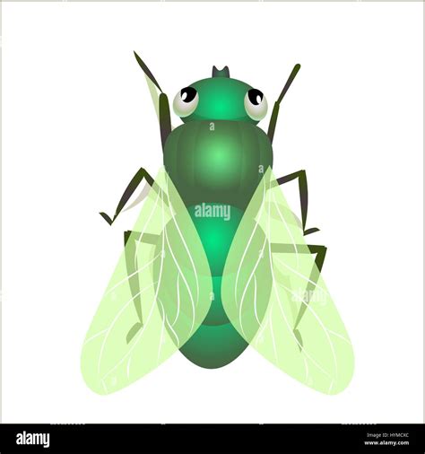 Bluebottle Fly Dung Stock Vector Images Alamy