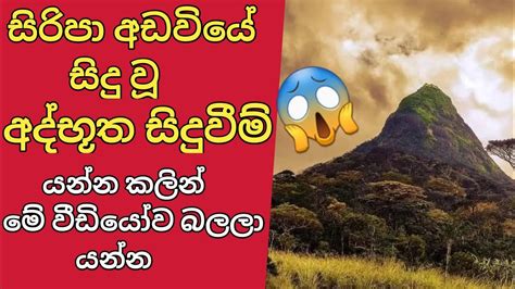 සිරිපා අඩවියේ සිදු වූ අද්භූත සිදුවීම් 😱 යන්න කලින් මේ වීඩියෝ එක බලලා යන්න Truthwithsama