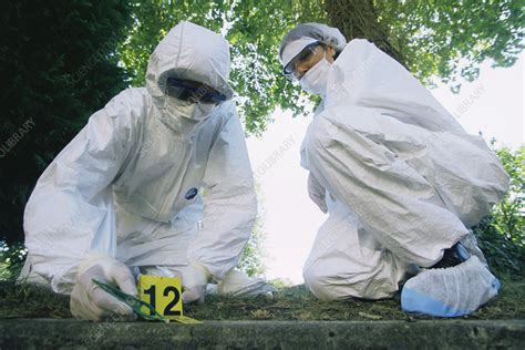 Forensics Officers At A Crime Scene Stock Image H200 0418 Science