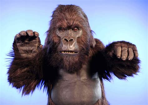 Realistic SFX Gorilla Costume "Bongo"