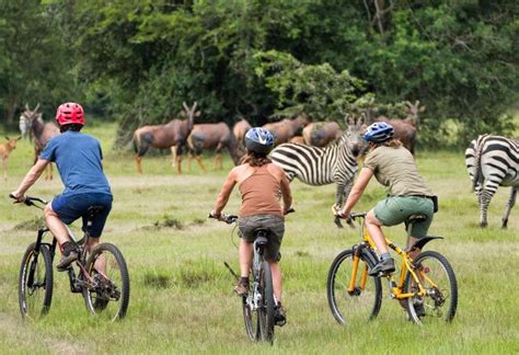 Days Lake Mburo Bwindi Gorillas And Volcanoes Safari Safari