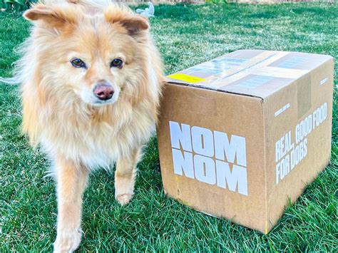 60% Off Fresh Dog Food from Nom Nom | Limited-Time Offer - The Krazy Coupon Lady
