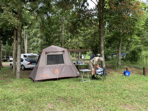 Camping At Amamoor State Forest And National Park