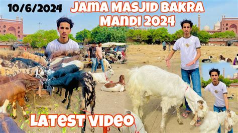 Jama Masjid bakra Mandi 2024 Sabse saste bakre जम मसजद बकर मड