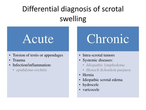 Scrotal Edema