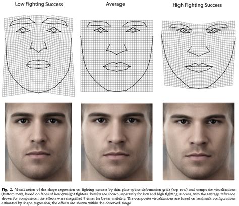 Facial Width To Height FWHR Ratio Page 2 Low Toxin Forum