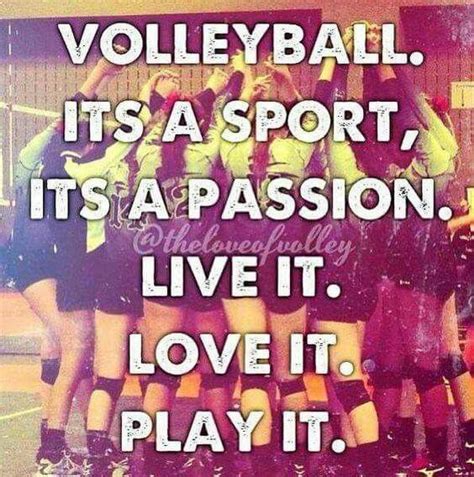 Pin By Madeline Thiel On Volleyball Is My Life In 2020 Volleyball