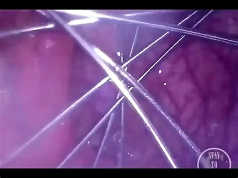 Whisk Spreading My Ass From Inside Amateur Porn XHamster