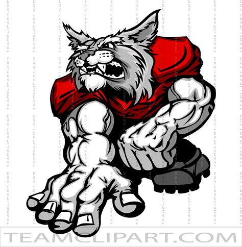 Wildcats Football Logo | Vector Format | JPG EPS PNG AI