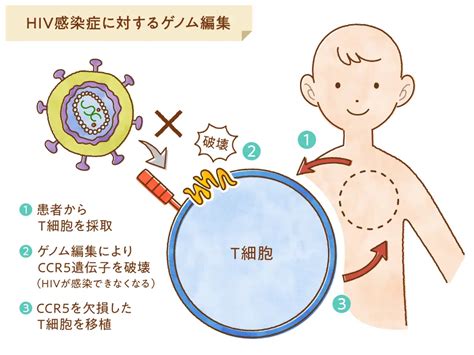 33 ゲノム編集の医学応用の具体例｜日本医学会連合 ゲノム編集解説ウェブサイト