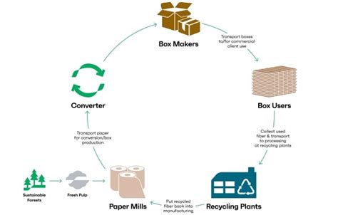 Commercial Recycling Services and Solutions | International Paper