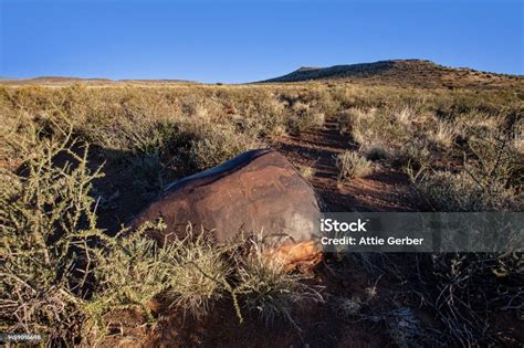 South African Petroglyphs Great Karoo Stock Photo Download Image Now