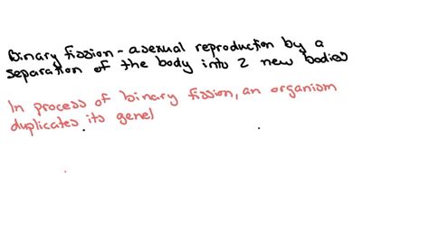 SOLVED Binary Fission Asexual Reproduction By A Separation Of The