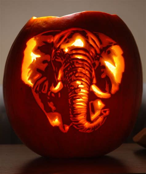 Elephant A Pumpkin Carving Of An Elephant Carved For Nicq Flickr