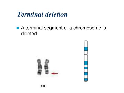 Ppt Medical Genetics Powerpoint Presentation Free Download Id 5183071