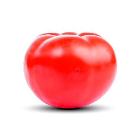 Tomate Aislado Sobre Fondo Blanco Vector Premium