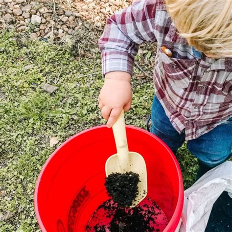 How to Set Up a DIY Bucket Container Garden - Mama on the Homestead