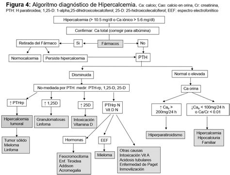 Trastornos Del Calcio F Sforo Y Magnesio Nefrolog A Al D A