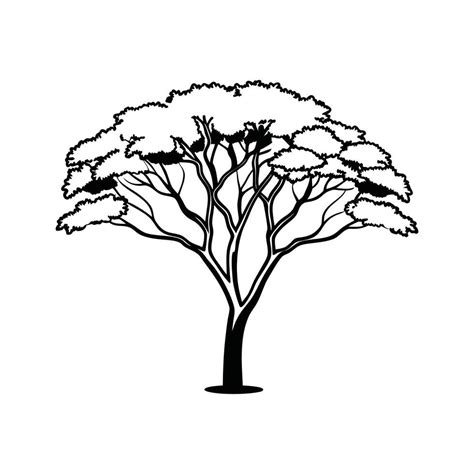 creative mahogany tree outline illustration  vector art  vecteezy