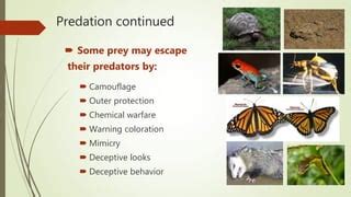 Species interactions | PPT