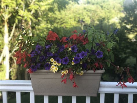 Pin by Liza Shotwell on Front porch flower boxes | Porch flowers, Front ...