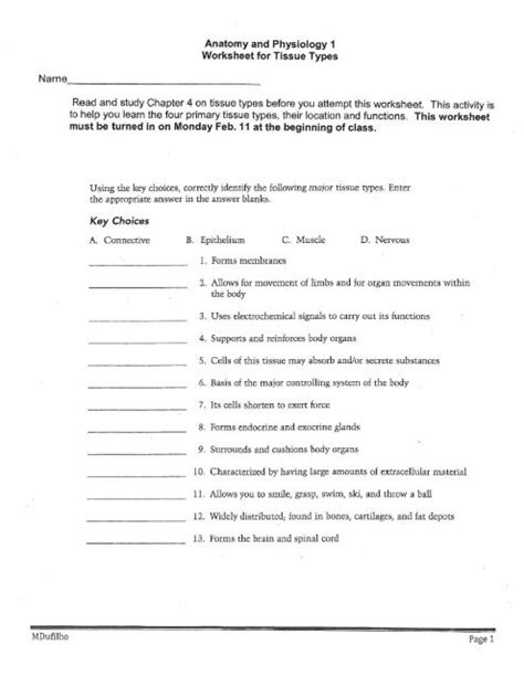 Anatomy And Physiology 1 Worksheet For Tissue Types Anatomy Worksheets