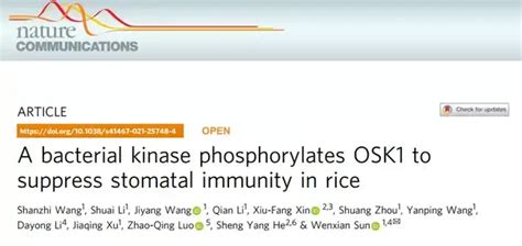 Nature Comm 孙文献课题组揭示水稻细菌性条斑病菌抑制气孔免疫，成功入侵水稻的新机制 知乎