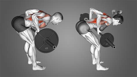 Yates Row Vs Barbell Row Muscles Mechanics And More Inspire Us