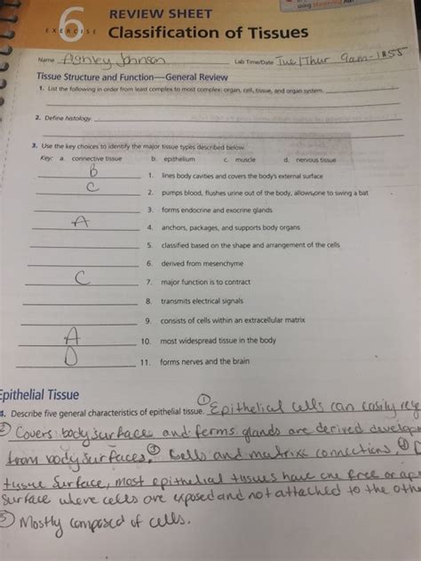 Solved Wsing Matering REVIEW SHEET EXERCISE Classification Chegg