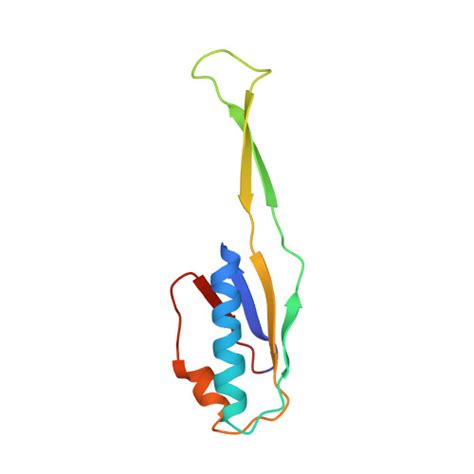 Rcsb Pdb Fxc The Cryo Em Structure Of Hibernating S Ribosome