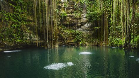 Download Mexico Yucatán Cenote Nature Lake Hd Wallpaper