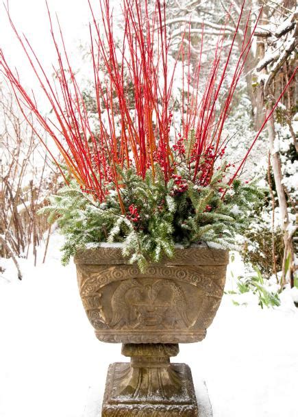 10 Fabulous Winter Container Garden Ideas