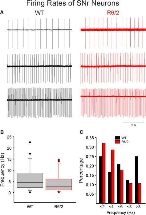 Firing Rates Of Snr Neurons A Snr Neurons Were Recorded In