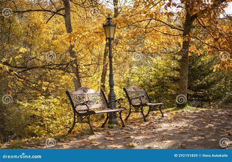 Golden Autumn Wood Park with Two Wooden Benches Stock Image - Image of ...