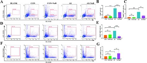 Effects Of Nab On M And Associated Polarization In Apoe Mice With