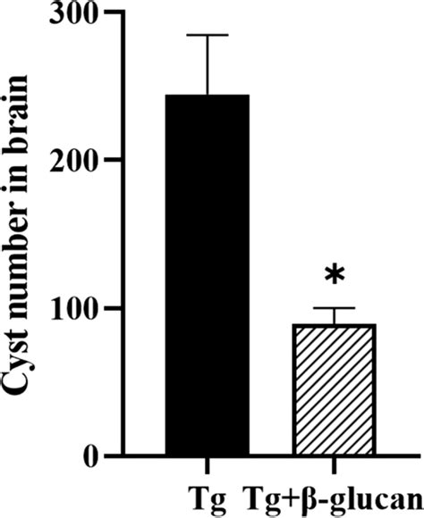 Glucan Reduced The Cyst Burden In The Brains Of Wh Infected Mice