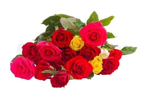 Bunch of roses | Stock image | Colourbox