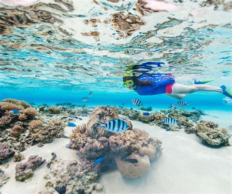 Best Snorkeling Spots In Turks And Caicos | Grand Slam Fishing Charters